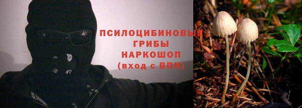 молекула духа Карталы