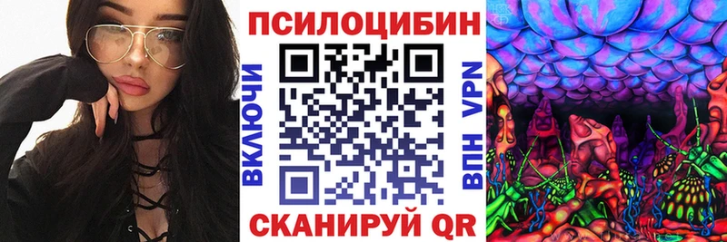 Купить закладки  Балахна  Галлюциногенные грибы прущие грибы 