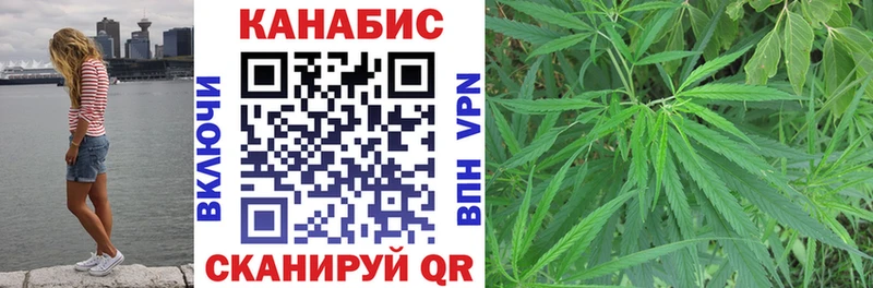 Купить  Балахна  Конопля гибрид 